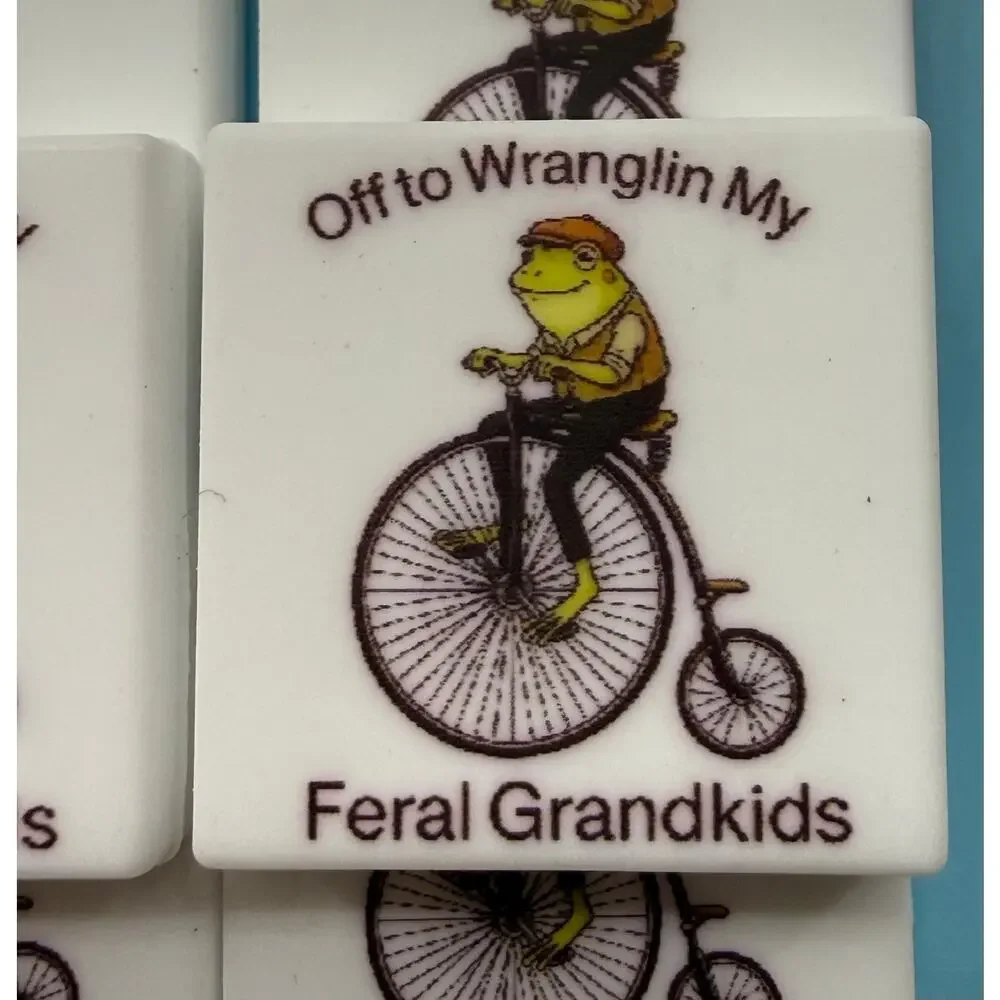Set of 6 Snarky Feral Grandkids Silicone Focals for Pens Keychains Crafts funny
